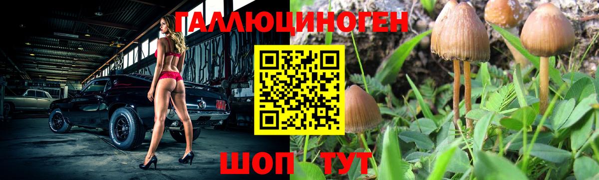 Ленинск-Кузнецкий  Галлюциногенные грибы Psilocybe  Вход с VPN  Псилоцибиновые грибы Magic Shrooms 