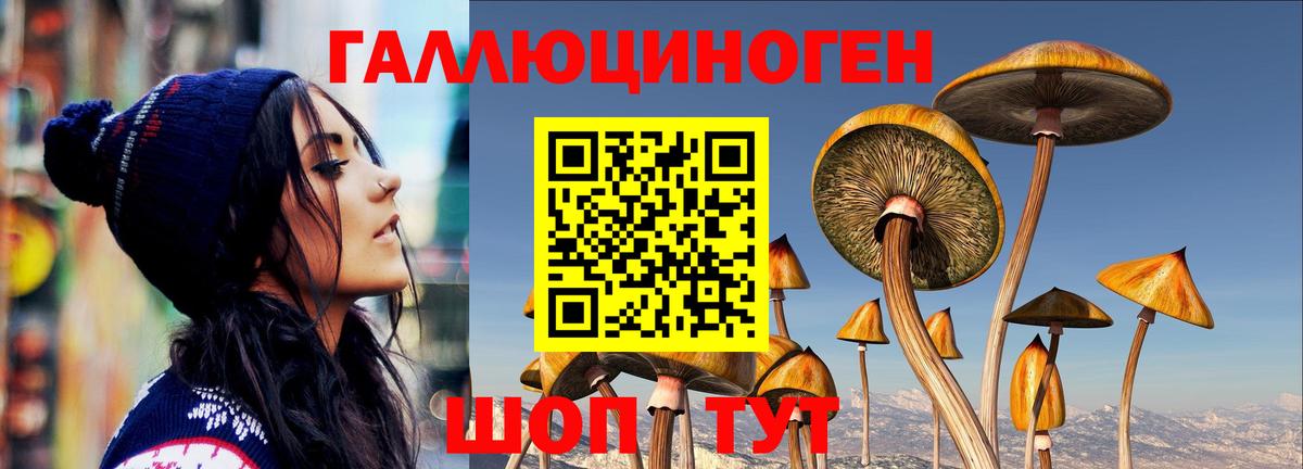 Галлюциногенные грибы мухоморы Ленинск-Кузнецкий